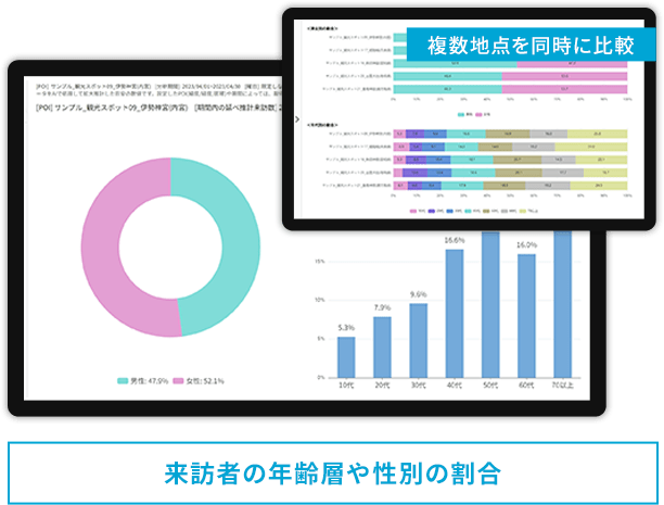 来訪者の年齢層や性別の割合