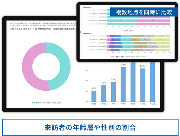 来訪者の年齢層や性別の割合
