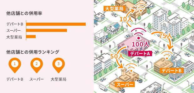 メッシュデータでは見逃される行動パターンの解析
