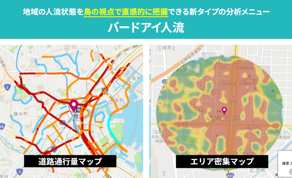 バードアイ人流