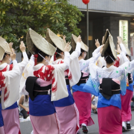 徳島駅周辺の人流データ - 毎日更新｜AI解析で見る徳島県の最新人流トレンド