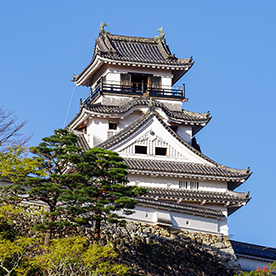 高知駅周辺の人流データ - 毎日更新｜AI解析で見る高知県の最新人流トレンド